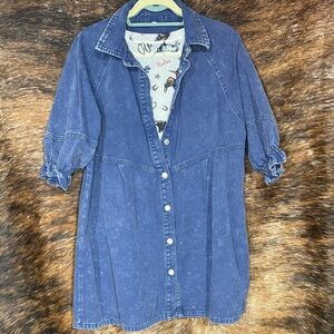 Denim Button Down Dress/Shirt